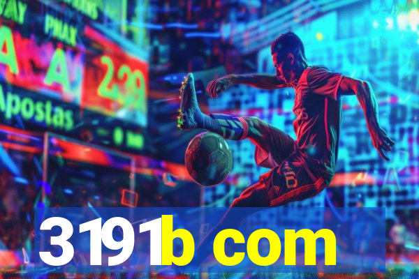 3191b com